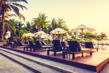 Güzel siluet palmiye ağacı