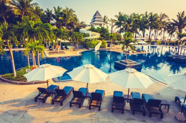 Güzel siluet palmiye ağacı