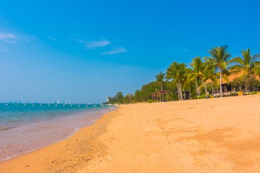 Güzel plaj ve palmiye ağaçları ile