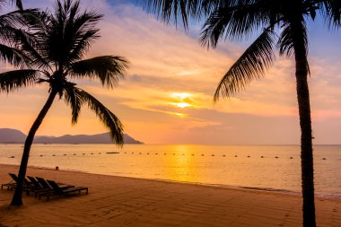 Güzel plaj ve palmiye ağaçları ile