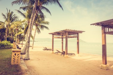 Güzel plaj ve palmiye ağaçları ile
