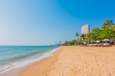 Güzel plaj ve palmiye ağaçları ile