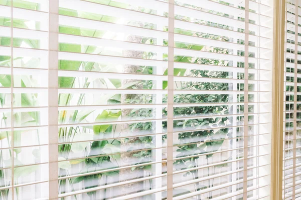 Blinds window decoration in living room