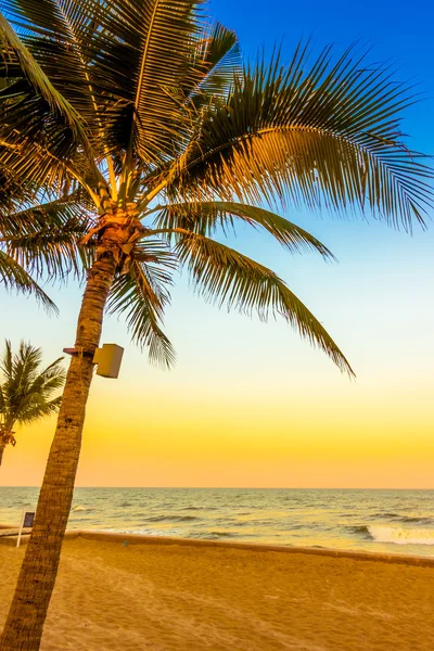 Sahildeki palmiye ağaçları — Stok fotoğraf