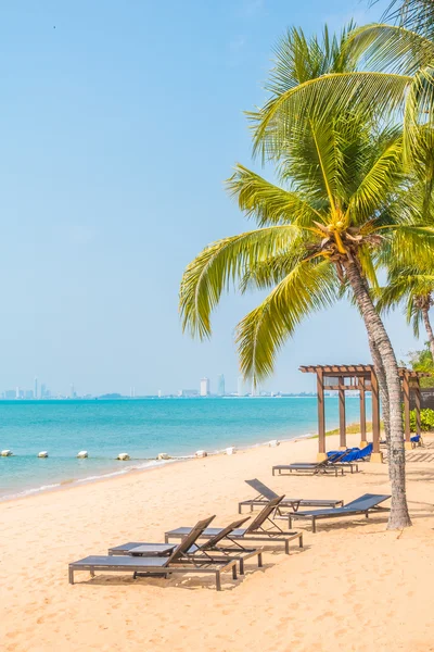 Güzel plaj ve palmiye ağaçları ile