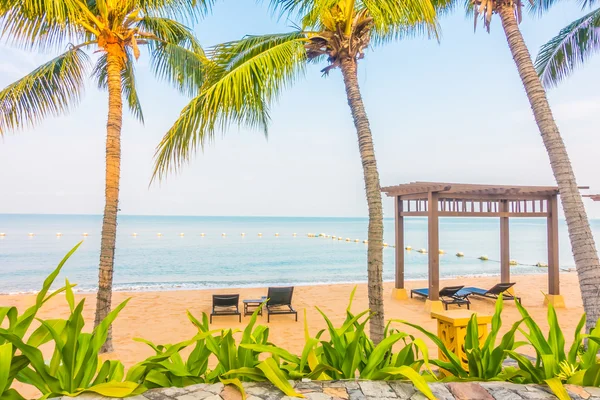 Güzel plaj ve palmiye ağaçları ile