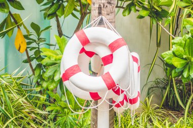 Emanet ringin etrafında Yüzme Havuzu