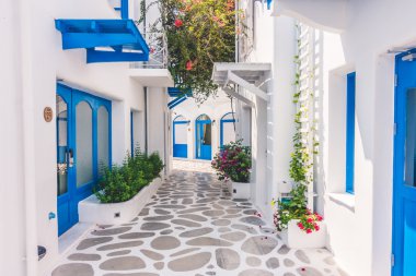 Beautiful architecture with santorini and greece style clipart