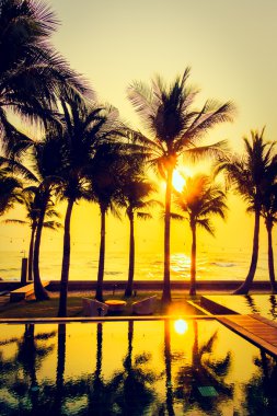 Gün batımı ile palmiye ağaçlarının Silhouettes