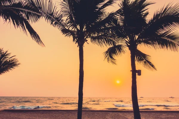 Sziluettek pálmafák a naplemente — Stock Fotó