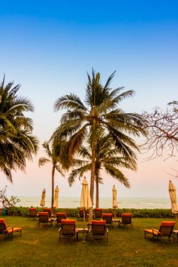 Boş şemsiyeleri ve sandalyeler, Twilight zamanlarda