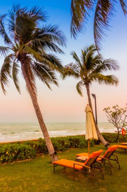 Boş şemsiyeleri ve sandalyeler, Twilight zamanlarda