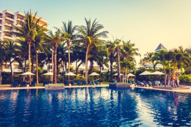 Güzel siluet palmiye ağacı