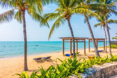 Güzel plaj ve palmiye ağaçları ile