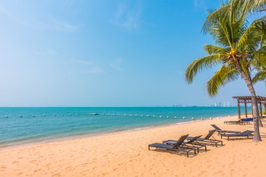 Güzel plaj ve palmiye ağaçları ile