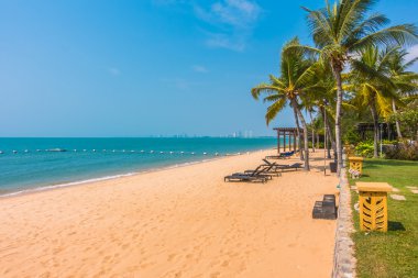 Güzel plaj ve palmiye ağaçları ile