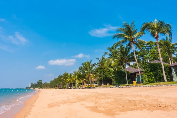 Mooi strand en zee met palmbomen — Stockfoto