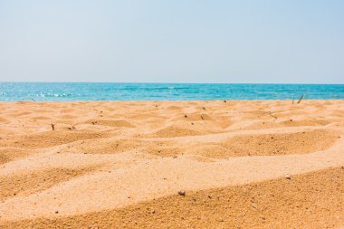 Güzel sahil ve deniz