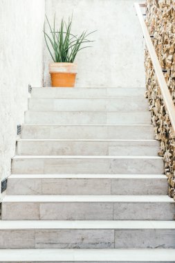 Beton merdiven dekorasyon 