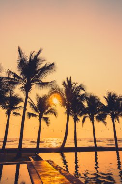 Gün batımı ile palmiye ağaçlarının Silhouettes