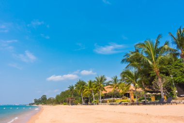 Güzel plaj ve palmiye ağaçları ile
