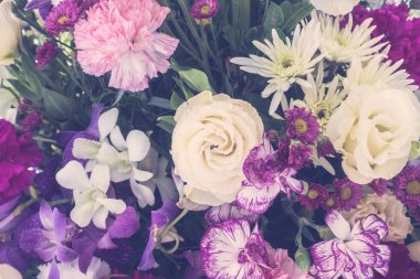 güzel çiçek arka plan