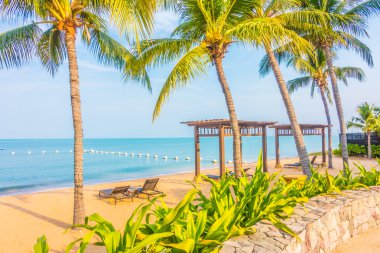 Güzel plaj ve palmiye ağaçları ile