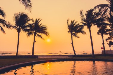 Gün batımı ile palmiye ağaçlarının Silhouettes