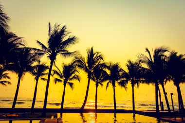 Gün batımı ile palmiye ağaçlarının Silhouettes