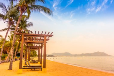 Güzel plaj ve palmiye ağaçları ile