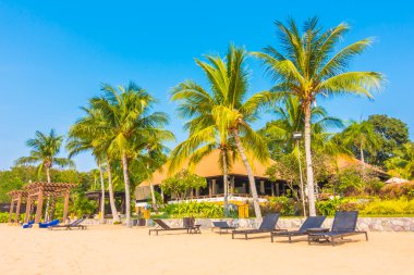 Güzel plaj ve palmiye ağaçları ile