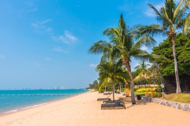 Güzel plaj ve palmiye ağaçları ile