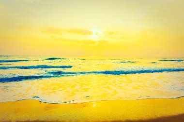 Güzel deniz ve sahil