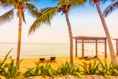 Güzel plaj ve palmiye ağaçları ile