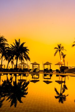 Güzel siluet palmiye ağacı