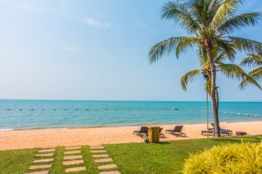 Güzel plaj ve palmiye ağaçları ile