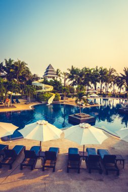 Güzel siluet palmiye ağacı