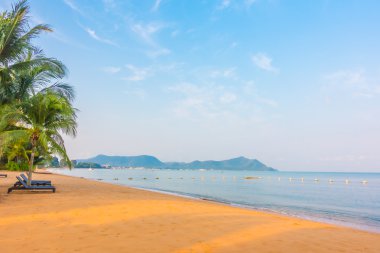 Güzel plaj ve palmiye ağaçları ile