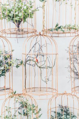 Kuş yuva dekorasyon duvar