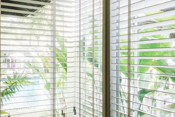 Blinds window in living room