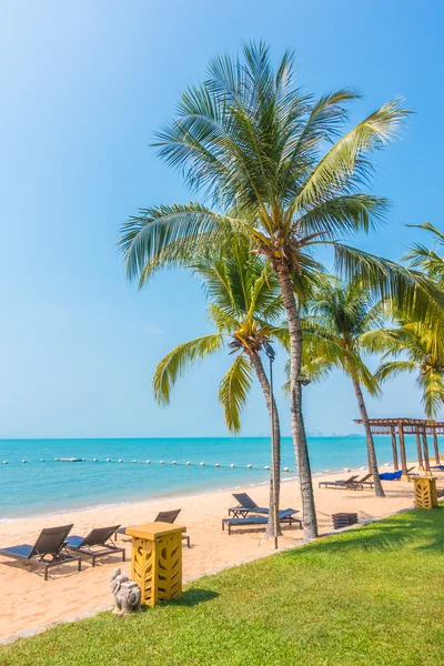 Bella spiaggia e mare con palme — Foto Stock