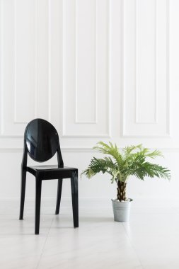 Vazo bitki ile boş sandalye