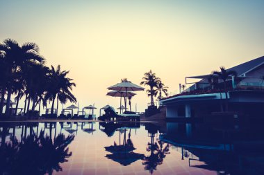 Güzel siluet palmiye ağacı