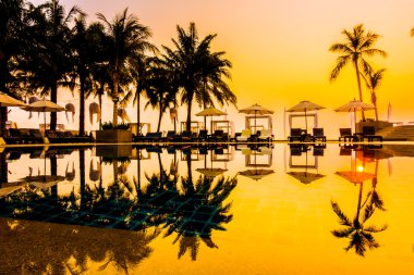 Güzel siluet palmiye ağacı