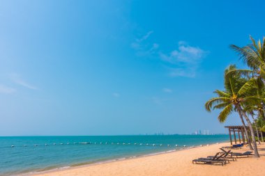 Güzel plaj ve palmiye ağaçları ile