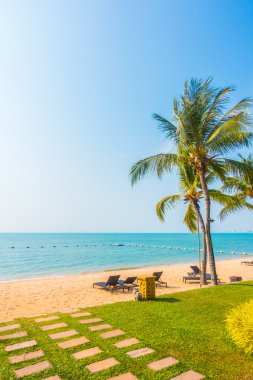 Güzel plaj ve palmiye ağaçları ile