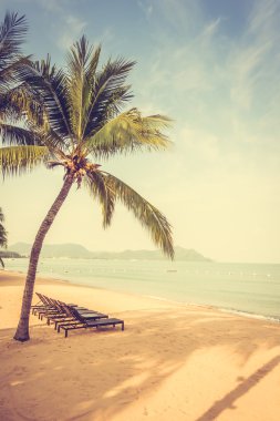 Güzel bir plaj ve deniz ile palmiye ağacı