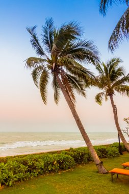 Boş şemsiyeleri ve sandalyeler, Twilight zamanlarda