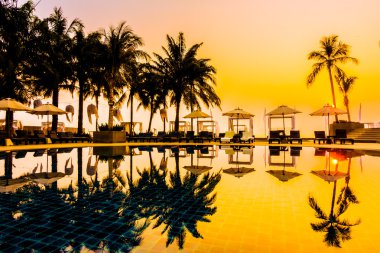 Güzel siluet palmiye ağacı