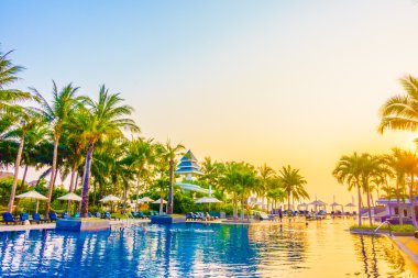 Güzel siluet palmiye ağacı